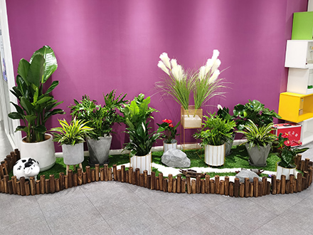 政府機構(gòu)租擺案例